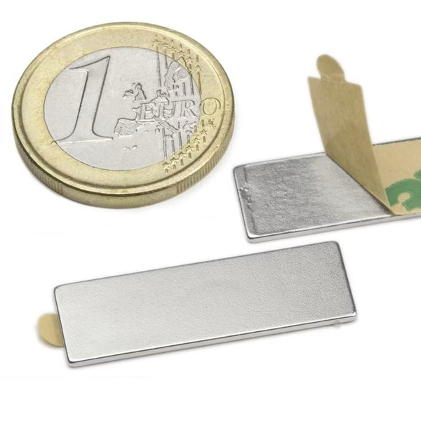Set van 2 platte zelfklevende magneten voor Horse Watch Travel camera (camera)